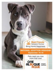 National Adoption Weekend