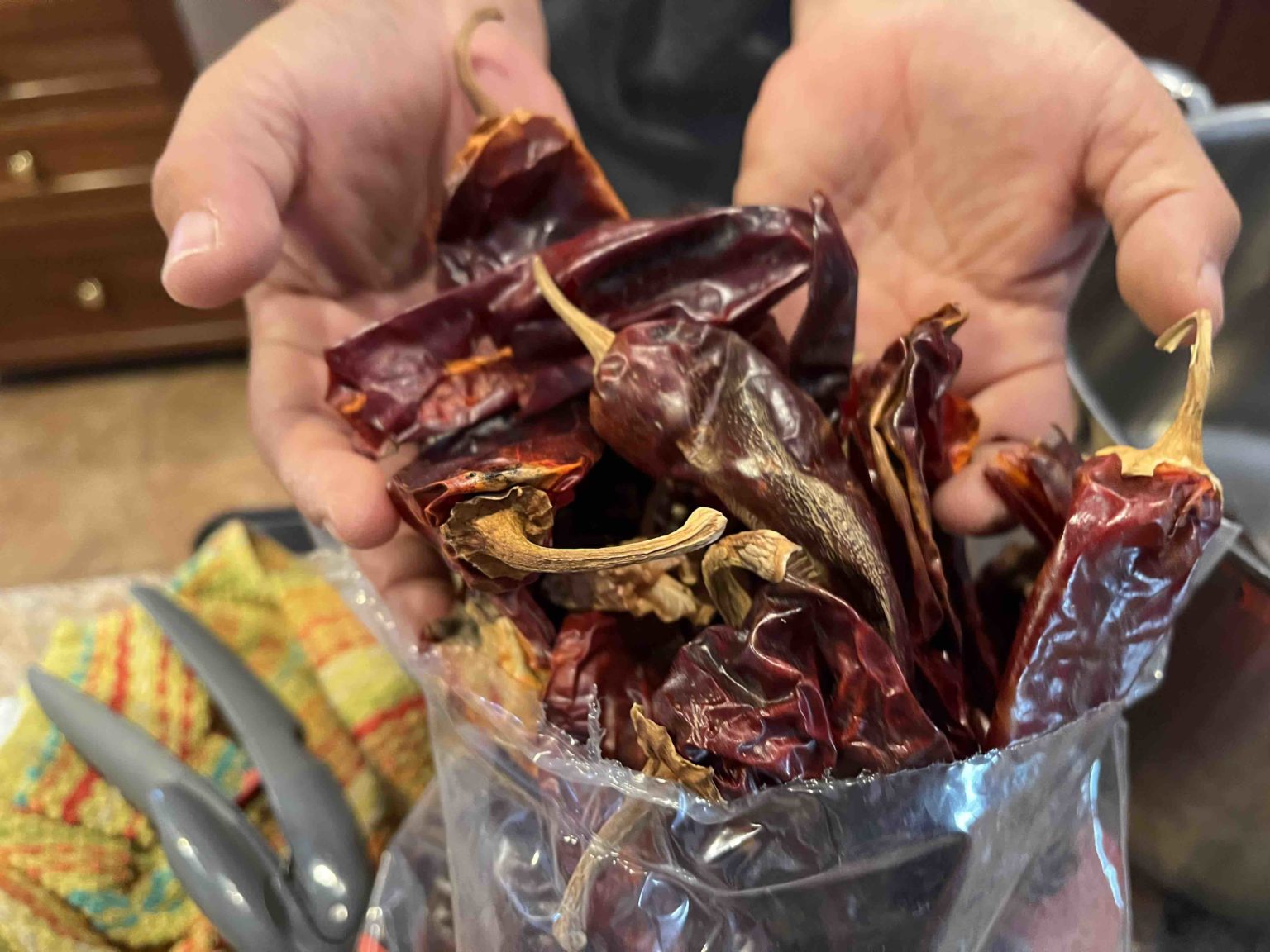 Two hands holding New Mexico red chile pods.